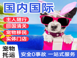 临汾航空物流国际宠物托运 【国